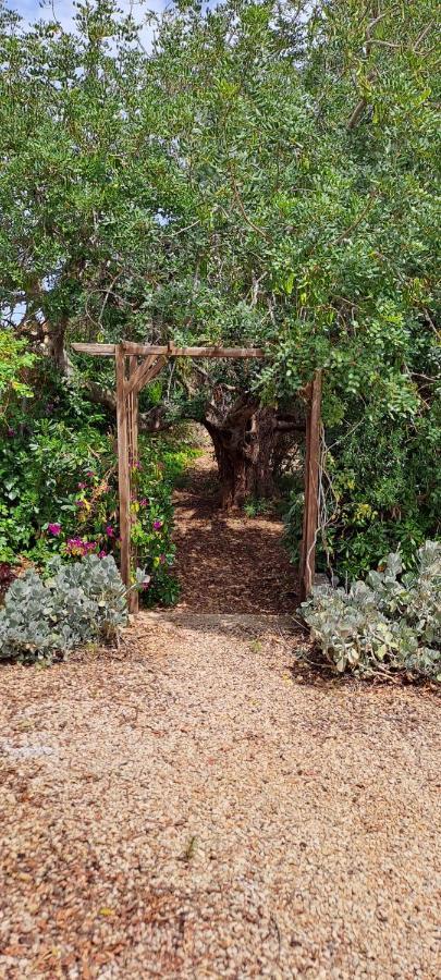 Finca Gamundi L'Ampolla Exteriér fotografie