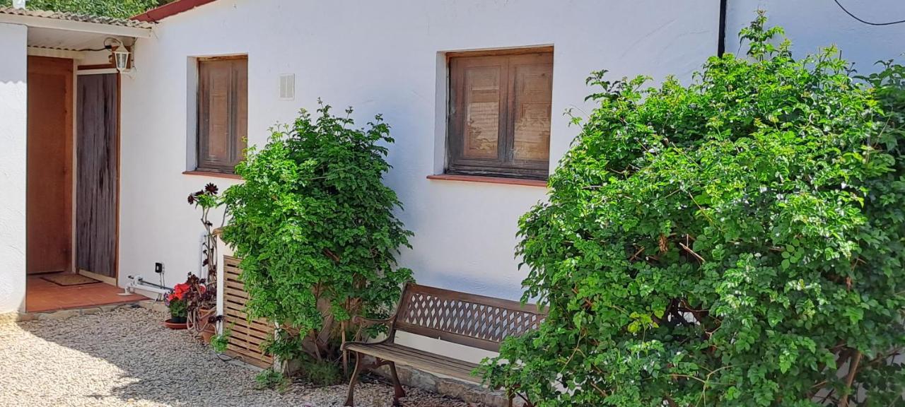 Finca Gamundi L'Ampolla Exteriér fotografie