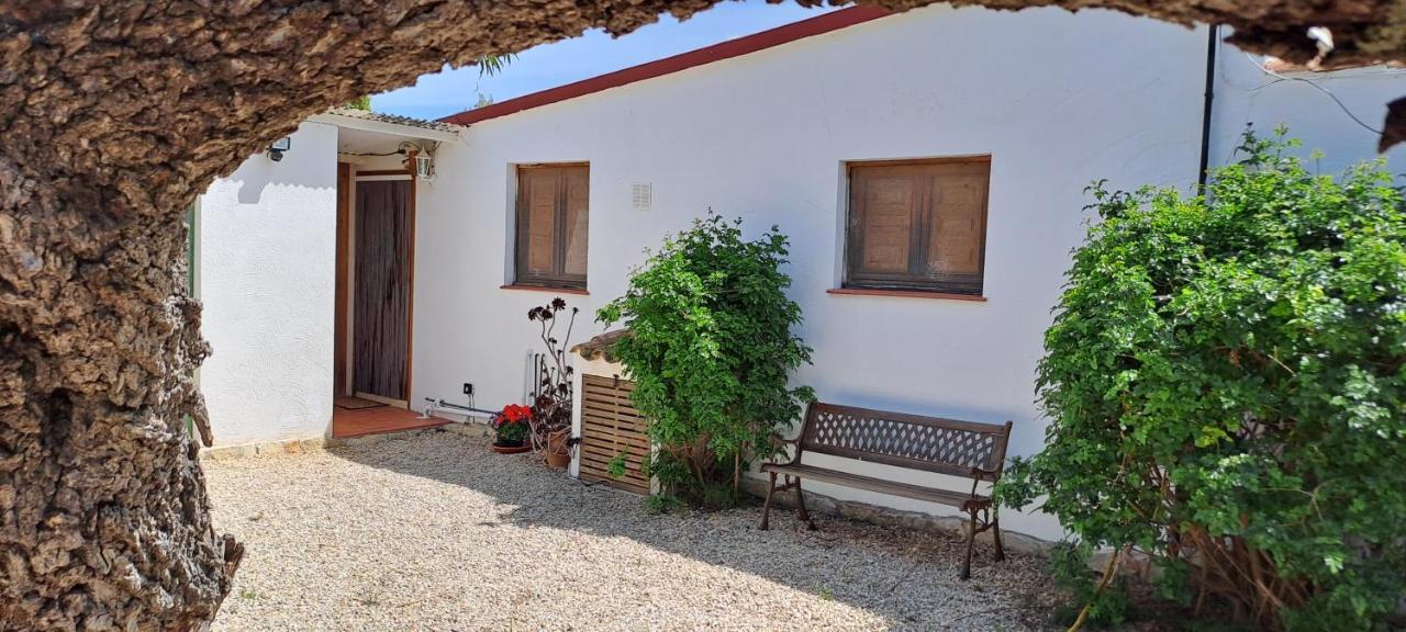 Finca Gamundi L'Ampolla Exteriér fotografie