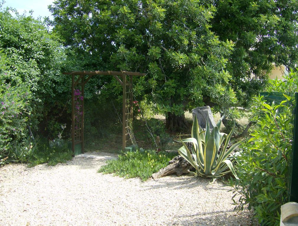 Finca Gamundi L'Ampolla Exteriér fotografie